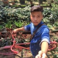 Lại Hà