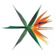 Mãi Cuồn Exo