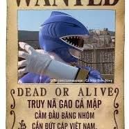 sieusao2021